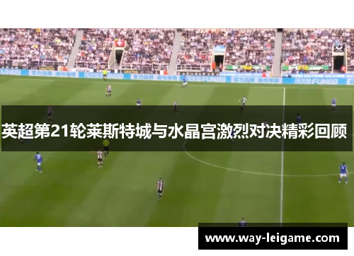 英超第21轮莱斯特城与水晶宫激烈对决精彩回顾 