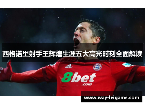 西格诺里射手王辉煌生涯五大高光时刻全面解读