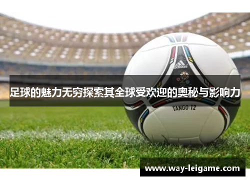 足球的魅力无穷探索其全球受欢迎的奥秘与影响力