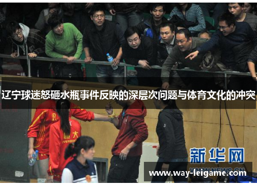 辽宁球迷怒砸水瓶事件反映的深层次问题与体育文化的冲突 辽宁球迷怒砸水瓶事件反映的深层次问题与体育文化的冲突