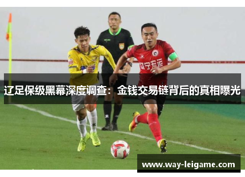 辽足保级黑幕深度调查:金钱交易链背后的真相曝光 辽足保级黑幕深度调查:金钱交易链背后的真相曝光