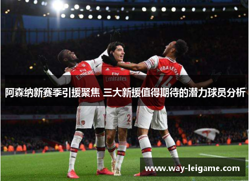 阿森纳新赛季引援聚焦 三大新援值得期待的潜力球员分析