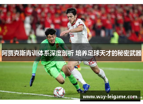 阿贾克斯青训体系深度剖析 培养足球天才的秘密武器